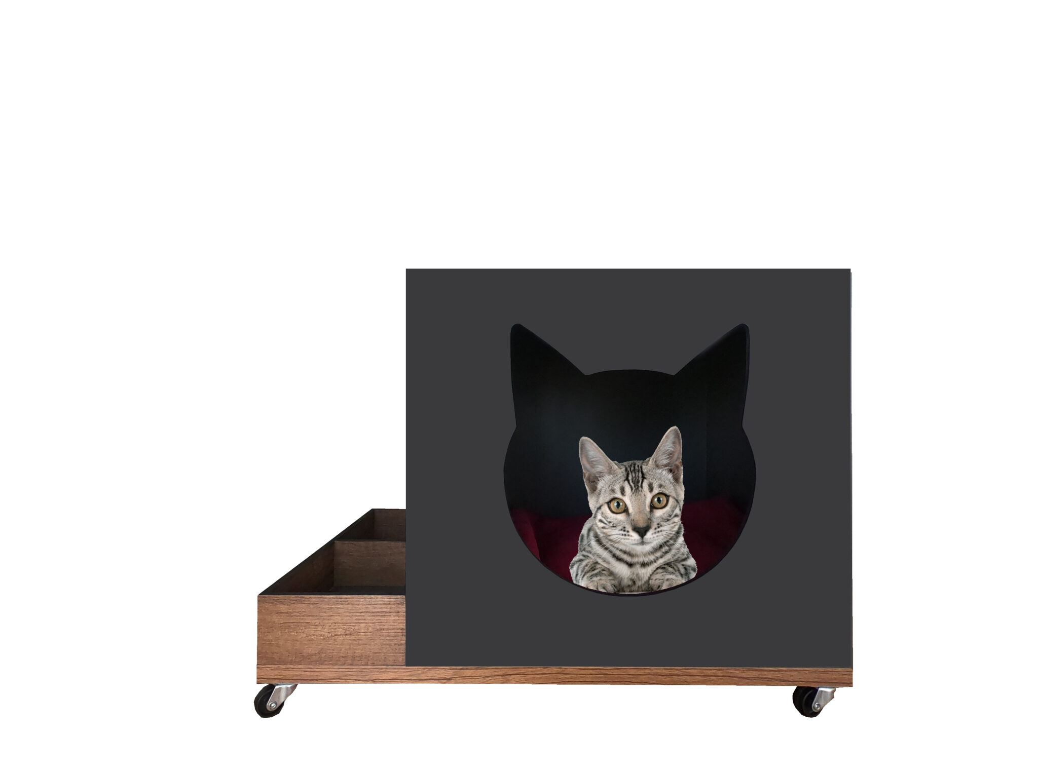 Mia Kedi Köpek Evi Pets Wuu
