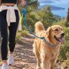 Köpek Eğitim Tasması